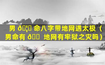 男 🦁 命八字带地网遇太极（男命有 🐠 地网有牢狱之灾吗）